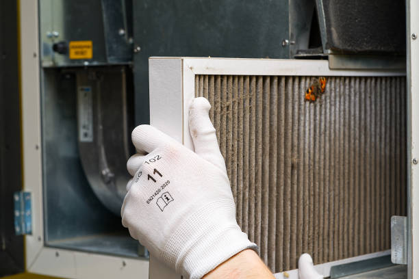 Best Affordable Duct Cleaning Services  in Mauriceville, TX