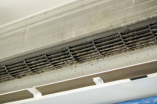 Mauriceville, TX Airduct Cleaning Pros